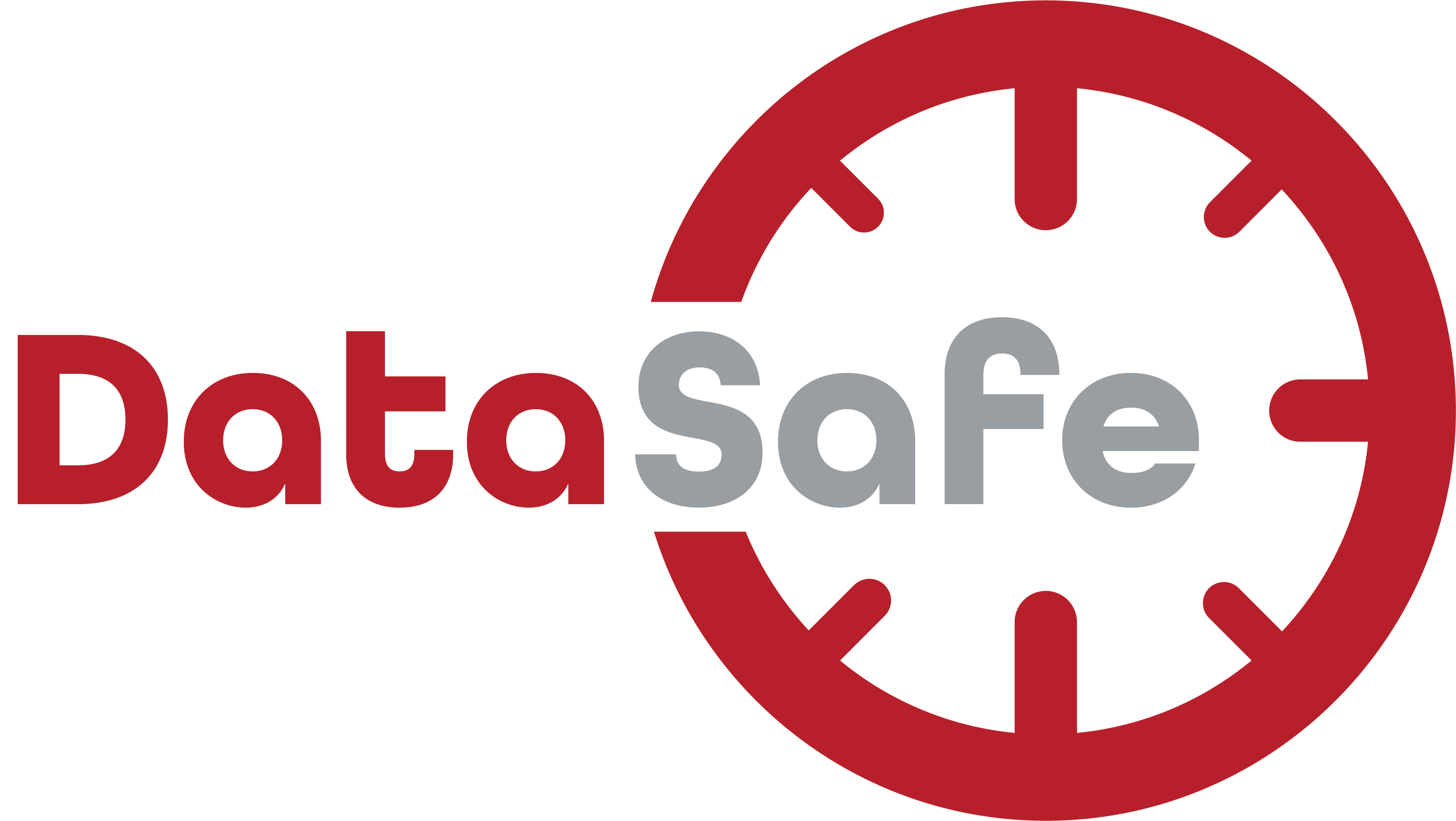 DataSafe logo